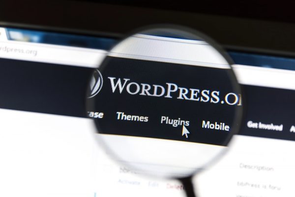 Conflit entre deux géants de WordPress : les enjeux d'un affrontement majeur dans l'écosystème du CMS
