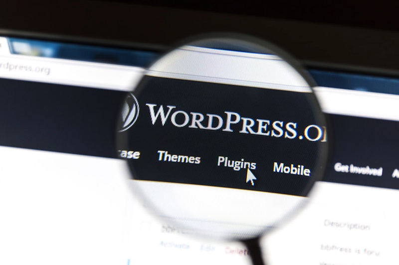 Conflit entre deux géants de WordPress : les enjeux d'un affrontement majeur dans l'écosystème du CMS